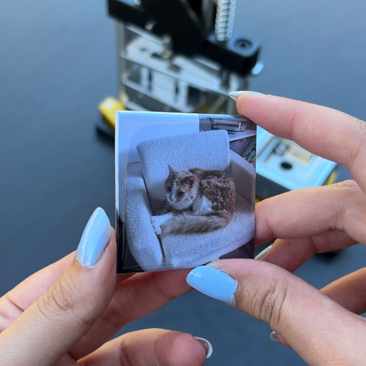 Packs of Customisable Magnets (50x50mm)